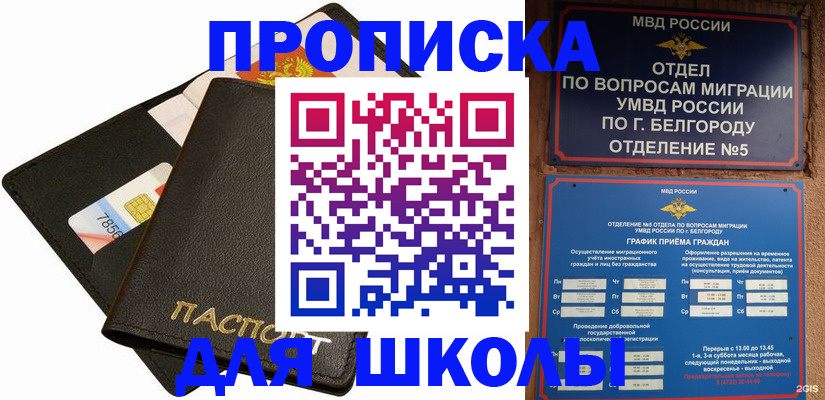 прописка иностранных граждан в Пересвете